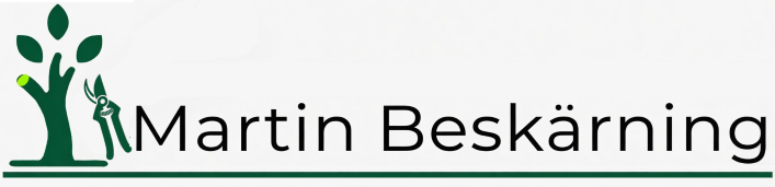 logo middle png